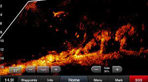 Check spelling or type a new query. Garmin Disrupts The Sonar Market Yet Again With Panoptix Livescope The First And Only Live Scanning Sonar For Recreational Fishing Panbo