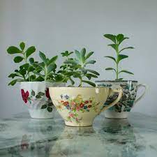 Hanging Tea Cup Planter Vintage Tea Cup Rose Tea Cup Tea Cup Planter Rose Tea Cup Tea Cups Vintage