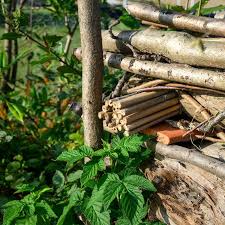The 2024 Beautiful Borders at BBC Gardeners' World Autumn Fair