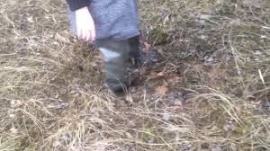 On alibaba.com and buy these products within. Ladies Wellies And Waders Before And After Mudfun By Phil Mcintosh