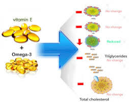 Effect of omega-3 fatty acid plus vitamin E Co-Supplementation on lipid  profile: A systematic review and meta-analysis - ScienceDirect