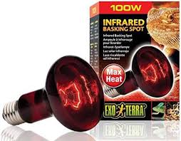 exo terra heatglo infrared spot lamp 100 w heat lamps heat n glo heat lamp bulbs