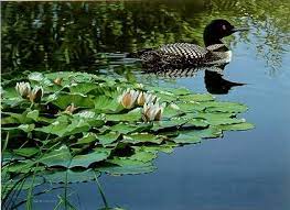 Shop art.com for the best selection of ron parker wall art online. Ronald Parker Related Artists