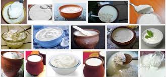 What is curd called in USA?