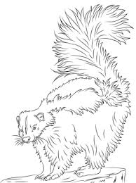 Click To See Printable Version Of Cute Skunk Coloring Page Coloring Pages Pictures To Draw Color