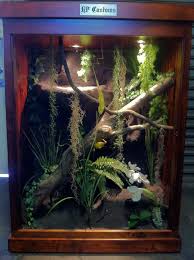 Reptile Enclosure With Jungle Theme Https Www Facebook Com Pages Hp Customs Custom Reptile Enclosures 572704122 Reptile Enclosure Whites Tree Frog Reptiles