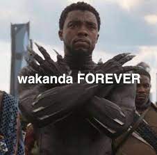 Check spelling or type a new query. Wakanda Forever R I P Chadwick Boseman Keep Meme