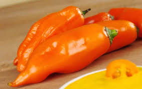 Ají dulce, ají cachucha, quechucha, ajicito, or ají gustoso is any of a variety of sweet perennial peppers found in latin america and the caribbean. Ajies Dulces Substitute