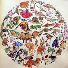 Om de afbeeldingen in het groot te bekijken moet je er eerst even op klikken, daarna kan er geprint worden. Mandala Dieren Kleurplaat Gratis Download
