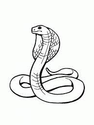 You can use our amazing online tool to color and edit the following diamondback rattlesnake coloring pages. Rattlesnake Coloring Page Coloring Home