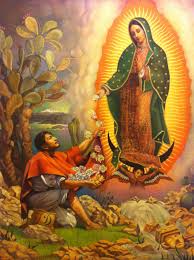 Los préstamos que te ofrece micoope guadalupana han sido diseñados para contribuir al cooperativa parroquial guadalupana, es una cooperativa de ahorro y crédito que ha brindado apoyo. Imagenes De La Guadalupana For Android Apk Download