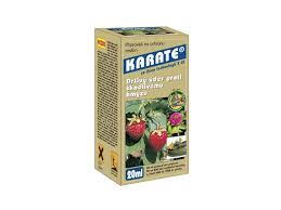 Image result for květopas jahodníkový