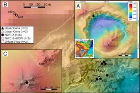 An oval dining table offers a seating arrangement similar to that of rectangular pieces, while a circular dining table sets the scene for intimate yet casual gatherings. Complex Subsurface Hydrothermal Fluid Mixing At A Submarine Arc Volcano Supports Distinct And Highly Diverse Microbial Communities Pnas