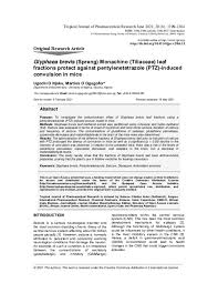 Image result for Glyphaea