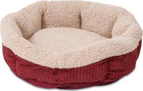 You could set it out to the curb. 6 Best Heated Dog Bed Options Australia 2021 Buyers Guide Gentledogtrainers Com Au