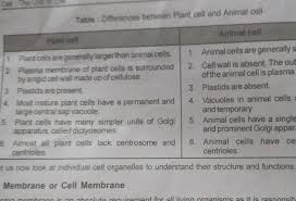 Living things, animals and plants share common cellular structures. List Any Two Structural Differences And Two Similarities Between Animal Cell And Plant Cell Brainly In