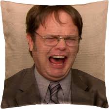 Dwight Schrute Office C103 Funny Pillow, Home Office Home Decor Throw  Pillow, Case Linen Lined Cushion Cover, Cute Decorative Throw Pillow, House  Warming Gifts (Cover + Insert) : Amazon.se: Home & Kitchen