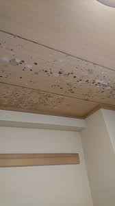 天井と壁のシミは警告サイン：漏水とカビの可能性 | ブログ | 東京・大阪・名古屋のカビ取り・カビ対策ならMIST工法®カビ取リフォーム