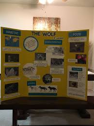 Animal Wolf Report Trifold Board Poster 3rd Grade Elementary School Posters Research Poster Poster Board