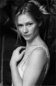 Pin by Stephen Gavis