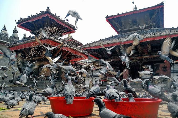 22 cosas imprescindibles ¡QUE HACER EN KATHMANDÚ!