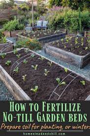 How To Amend Fertilize Garden Bed Soil Before Planting Or Between Seasons Homestead And Chill No Till Garden Organic Horticulture Garden Beds