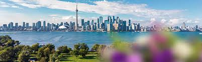Flowers, cakes, chocolates, personalized gifts, soft toys, combos, and hampers are our primary gift ideas that one can explore to impress their loved ones in canada. Send Flowers To Canada From Uk Via Direct2florist