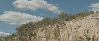 Truman for rescuing 75 soldiers at hacksaw ridge. Hacksaw Ridge Chris Godfrey Overall Vfx Supervisor