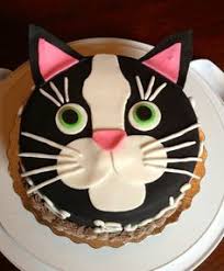 Le Gateau D Anniversaire Chat Facile A Realiser Decouvrez La Recette Sur Http Ww Gateau D Anniversaire Chat Anniversaire Chat Gateau D Anniversaire Facile