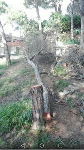 A fincas barcelona, a banda de posseir aquestes qualitats, comptem amb una intermediació immobiliària com a agència immobiliària, fincas barcelona es dedica a la intermediació i a la gestió. Mil Anuncios Com Alquiler De Fincas Rusticas En Barcelona Anuncios De Alquiler De Fincas En Barcelona