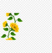 Free Free 107 Clipart Transparent Sunflower Border Png SVG PNG EPS DXF File