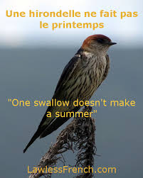 Check spelling or type a new query. Une Hirondelle Ne Fait Pas Le Printemps Lawless French Proverb