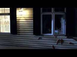 Trailer De Slither La Plaga 2006 Youtube
