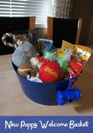 Shop our range of gift hampers & baskets online. A Welcome Basket For Doobie Pet Gift Basket Puppy Gift Basket Dog Gift Basket