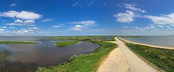 Delta meaning in hindi, delta ka matalab hindi me, hindi meaning of delta, delta meaning dictionary. Difference Between Estuary And Delta With Comparison Chart Key Differences