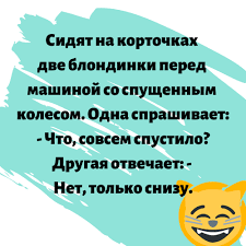 музыка для телефона на звонок слушать и скачать бесплатно Pin By Oleg Aleksandrov On Yumor In 2020 Humor Novelty Sign