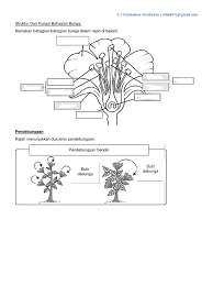 Yang disebut perkawinan pada tumbuhan adalah bertemunya sel sperma dari benang sari dengan. Struktur Dan Fungsi Bahagian Bunga
