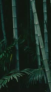 Wallpaper Mobile Wallpaper Wallpaper Iphone Solid Color Wallpaper Colorful Wa Click Here To Download Wallpaper Mobil Siyah Duvar Kagidi Naturaleza Dekor