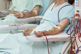 Kecambah atau toge kecambah merupakan sayuran yang memiliki kadar rendah lemak tetapi kaya vitamin a, b dan c serta serat, protein dan. Rutin Jalani Hemodialisis Perhatikan Makanan Ini Alodokter