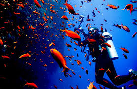 A Traveler S Guide To Exploring Egypt S Red Sea