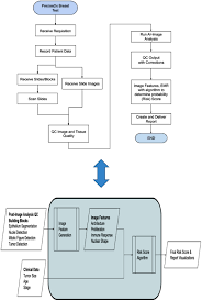 Analytical Validation of the PreciseDx Digital Prognostic Breast Cancer  Test in Early-Stage Breast Cancer
