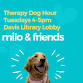 Therapy Dog Hour with Milo & Friends event image