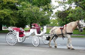 Victoria Horse Drawn Carriage Stock ...
