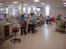 Jcu Dental School Outlines Post Admission Requirements Dental School Dental Surgery