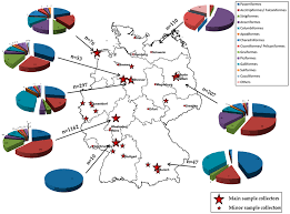 When sindhu v is asked by her mother, do you want me to die? she decides it's time to get her act together. Ijerph Free Full Text West Nile Virus And Usutu Virus Monitoring Of Wild Birds In Germany Html