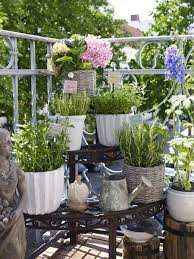 Gemuse Und Krauter Auf Dem Balkon Auf Der Treppe Krautergarten Balkon Balkon Pflanzen Balkon
