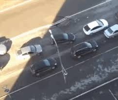 That S Gotta Be The Best Pirate I Ve Ever Seen Gif Https Encrypted Tbn0 Gstatic Com Images Q Tbn 3aand9gct Ak1vc4egx Srnbioxqpth6rgdqha7qw3ha Usqp Cau