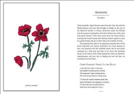 The language of flowers has been one of my favorite reads in a long time and i most definitely have a new appreciation for all that grows in my garden. Buy The Language Of Flowers Gift Book Book Online At Low Prices In India The Language Of Flowers Gift Book Reviews Ratings Amazon In