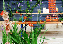 Michael Coley London College Of Garden Design
