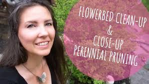 Up Close and Personal Pruning of Veronica